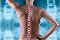 Cochrane Chiropractor and Chiropractic Care information.
